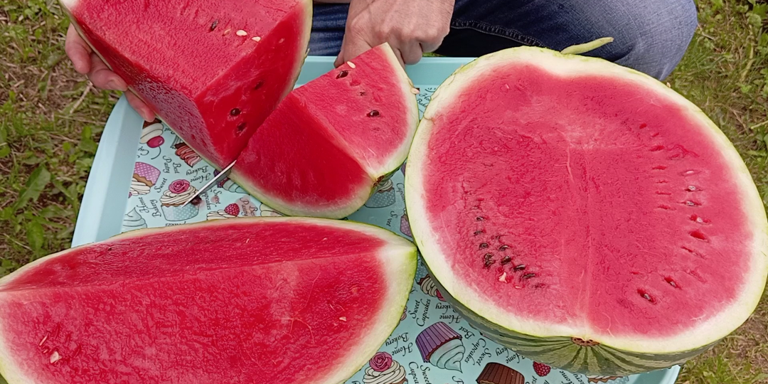 5 самых вкусных гибридных сортов арбуза. А также, 20 сортов на новый сезон 2026.