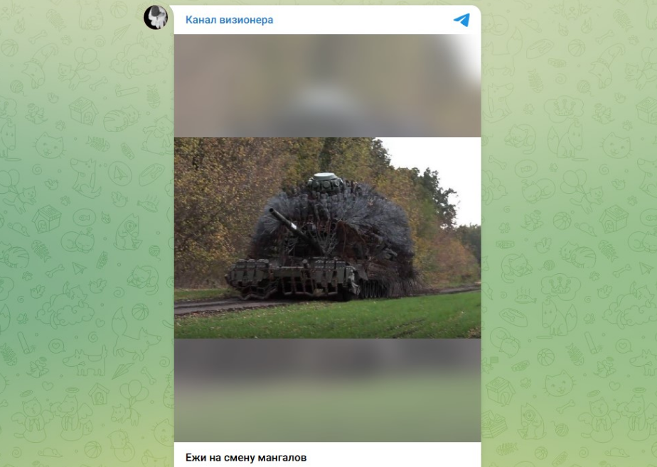 Боевой ёжик. Скриншот: ТГ-канал "Канал визионера"