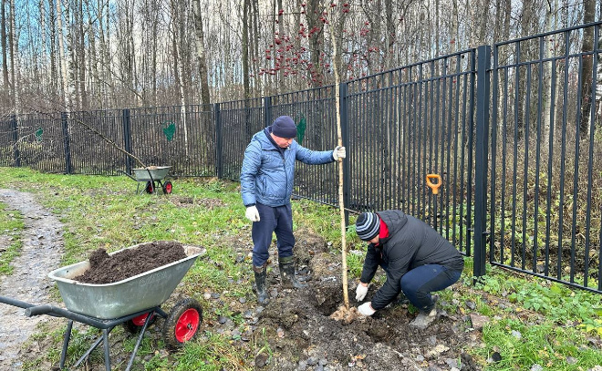    © Заневское городское поселение