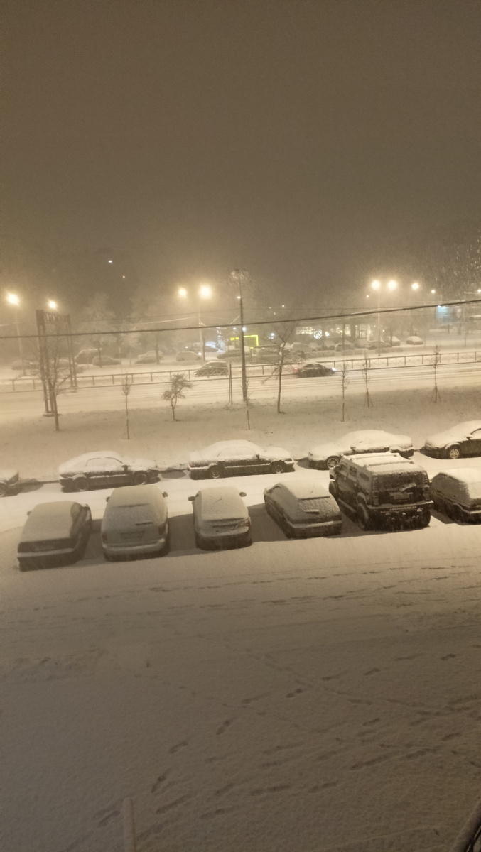 Фото автора. 23, 05. СПб. Пятница 14.11. 25 г.