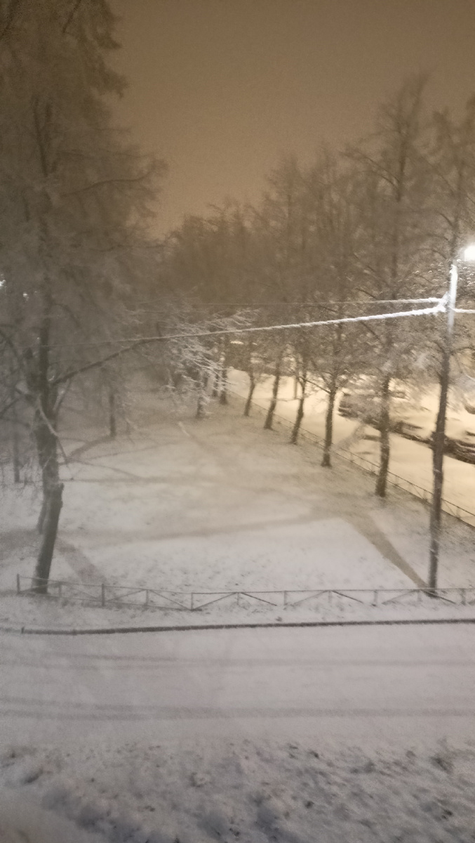 Фото автора. 23,05. СПб. Пятница. 14.11.25г. 