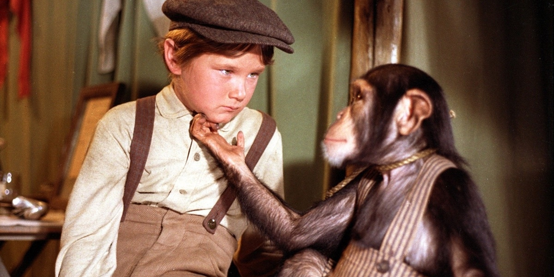 Кино и цирк. Три забытых шедевра