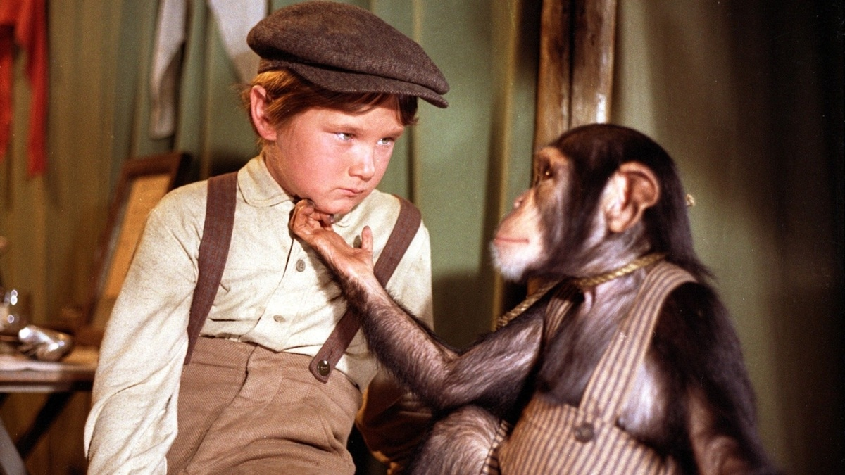 Кадр из фильма "Тоби Тайлер"