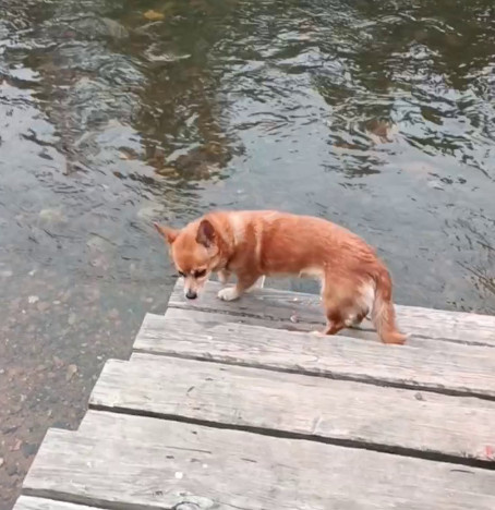 ФОТО: телеграм-канал Ирины Усольцевой.