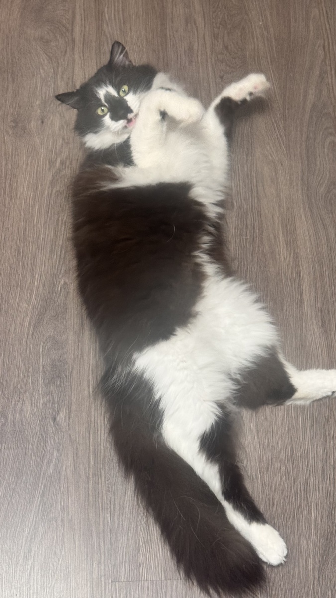 фото из личных архивов