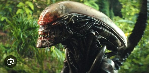 Кролик выглядел примерно так