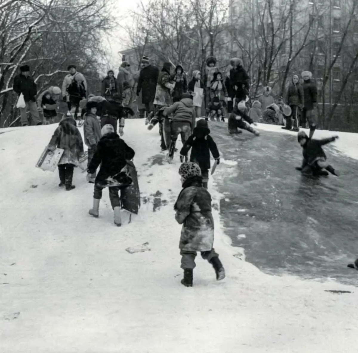 Фото из Яндекса