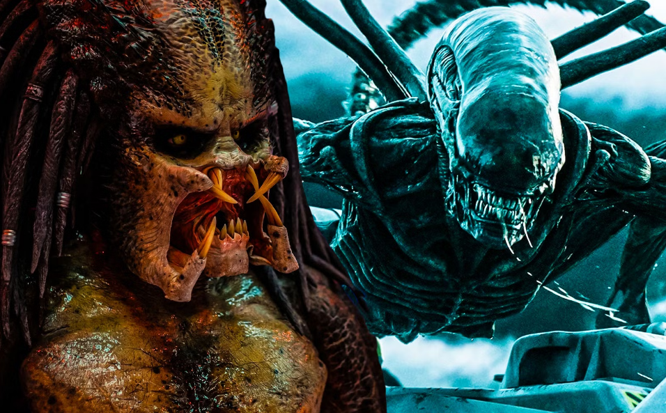 Свинья и кролик просветляются