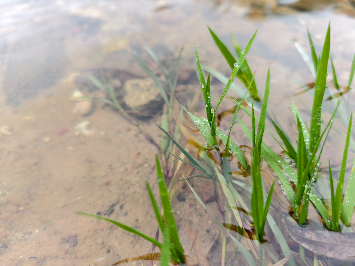 Зелёные краски осени
