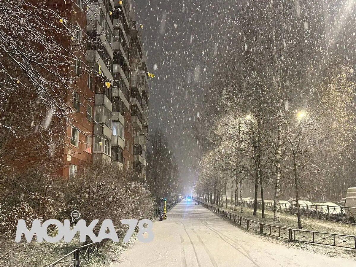    Фото: Мойка78