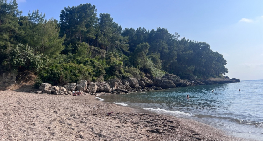    "Еле убежали от этого гостеприимства": российский турист дал честный отзыв об отдыхе в Абхазии