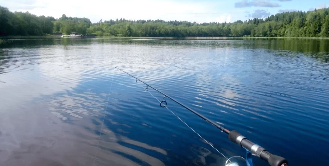 Как рыба реагирует на погоду: давление, ветер, температура — и что с этим делать