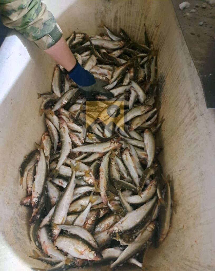    Фото: «СахПресс» Наталья Краснова