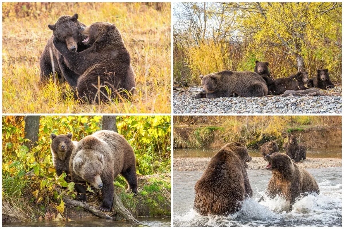    Хозяева великой природы.