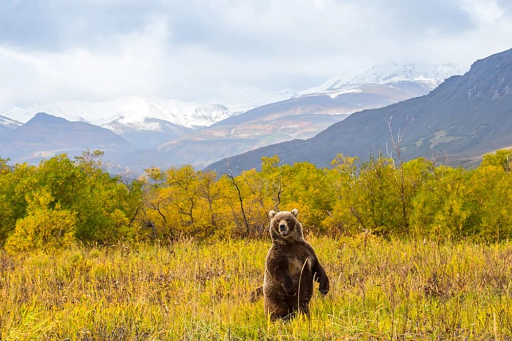    Камчатская осень. Фото: Геннадий Юсин