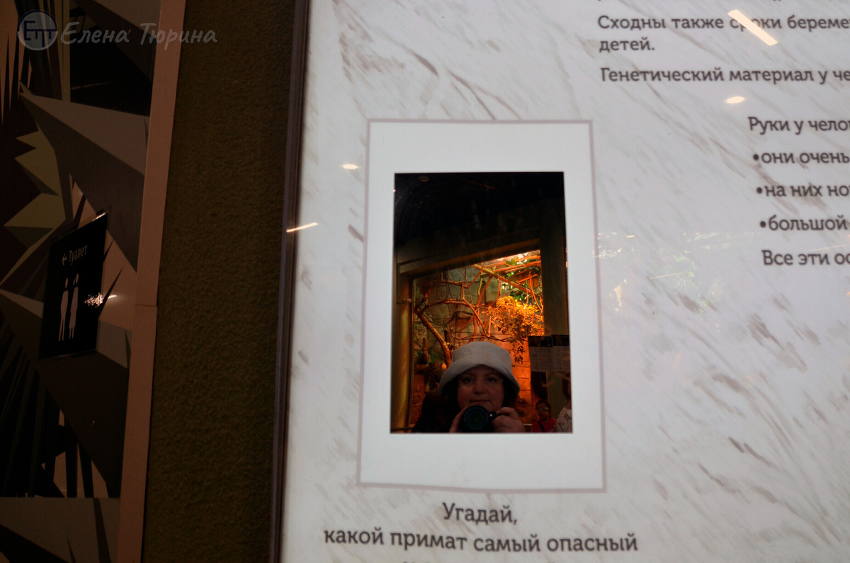 Фото: Елены Тюриной. Зеркало с надписью под ним в павильоне приматов в Московском зоопарке. Июнь. 2025 г.