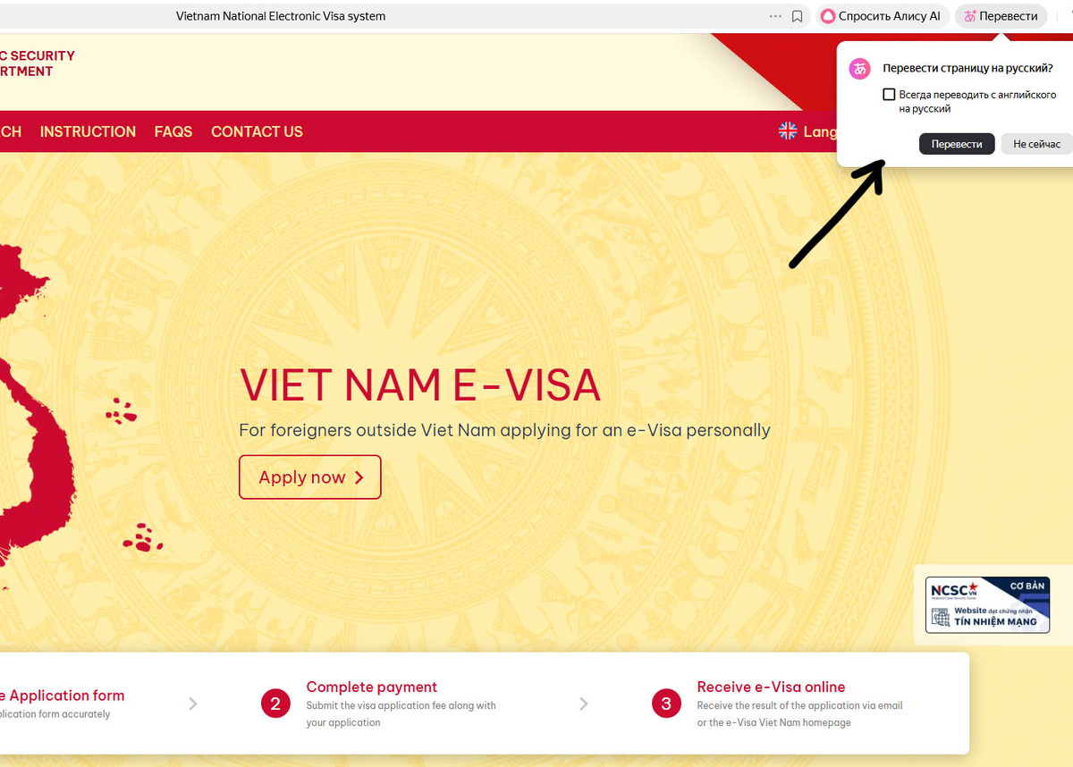 Листайте галерею - образец заполнения анкеты на визу