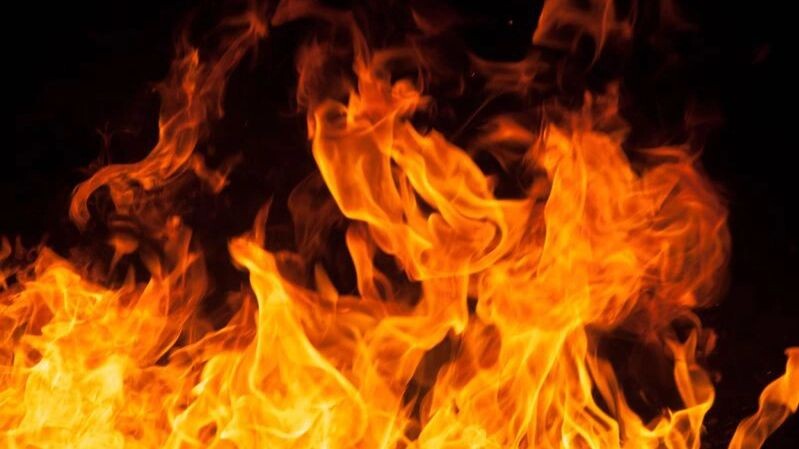    Фото: Ph.bySian / Shutterstock / Fotodom