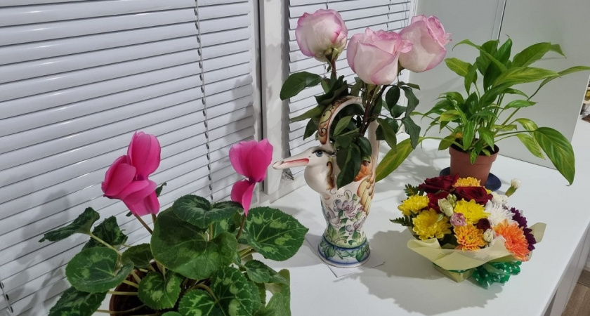    Возвращаем забытую классику: 8 растений из СССР, которые растут без хлопот и напоминают о хорошем