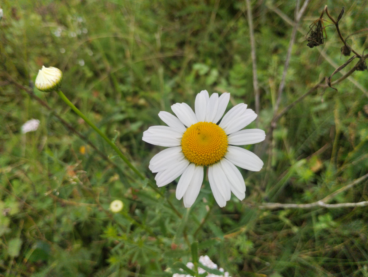 Пролистала свою галерею, фотографий свежих со мной нет, только видео тренировок 🤷‍♀️