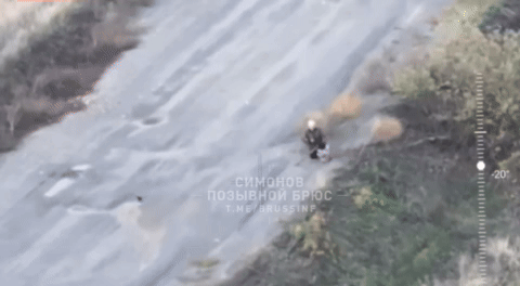    Удар украинским дроном по молящейся женщине в Харьковской области. Источник: ТГ-канал "Позывной Брюс"