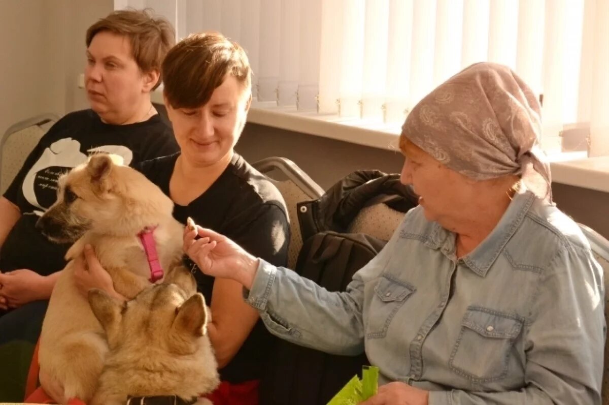    Волонтёрам приходится спасать собак, которых когда-то взяли, не подумав.