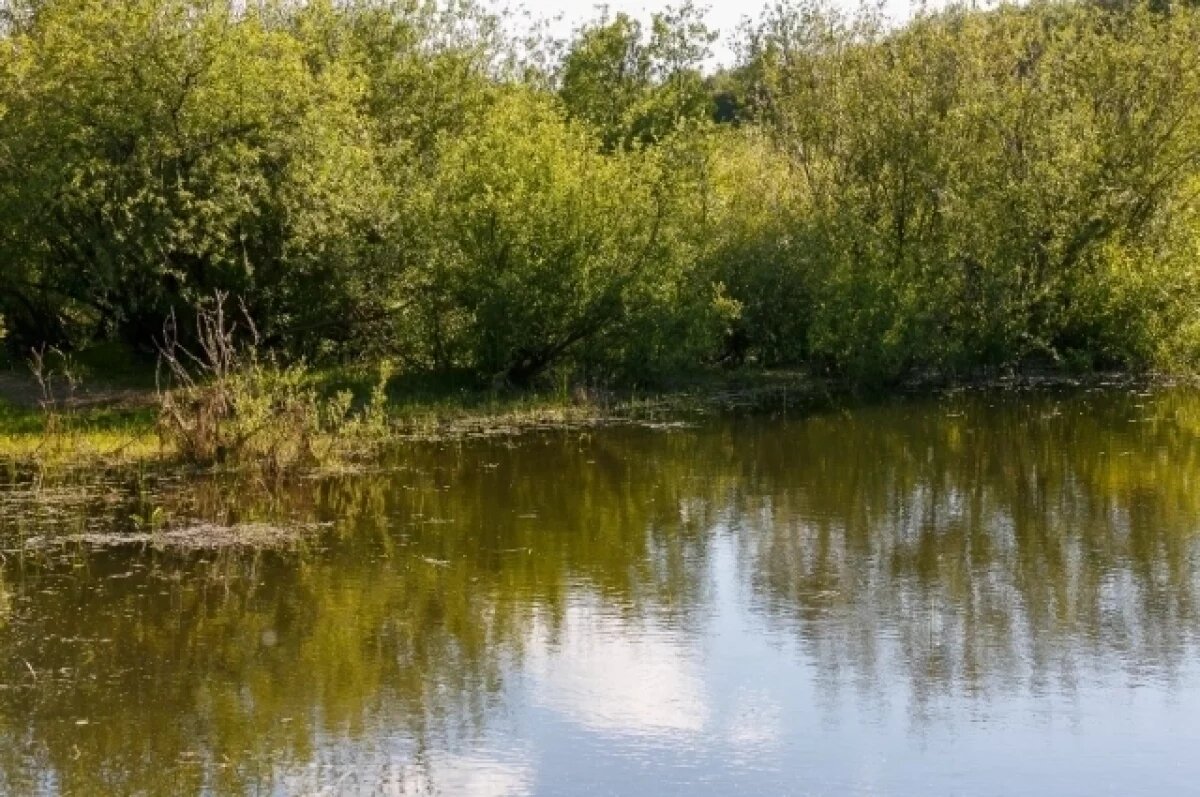    Несколько машин достали из озера около «Локомотив-Арены» в Новосибирске
