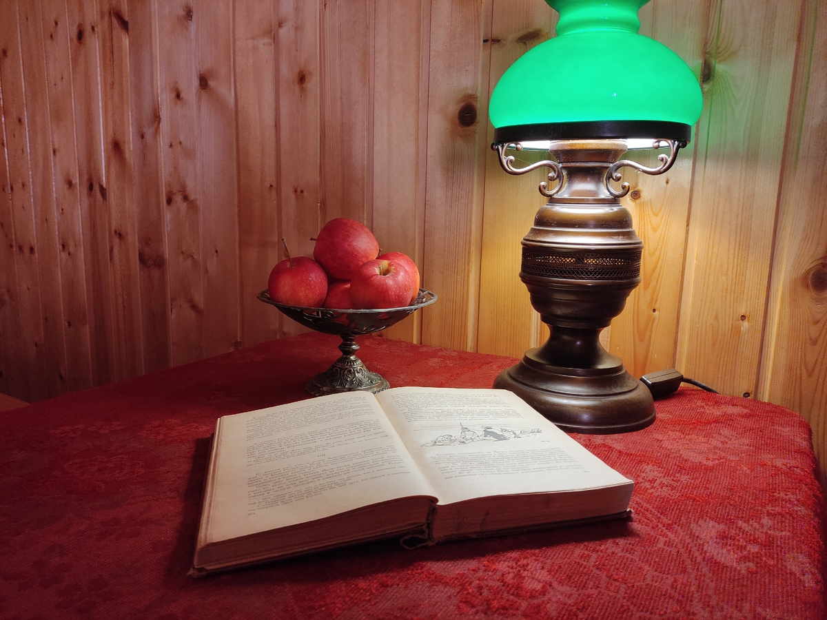 Вся домашняя библиотека живет на даче, и я не боюсь, что вырубят интернет - скучно не будет