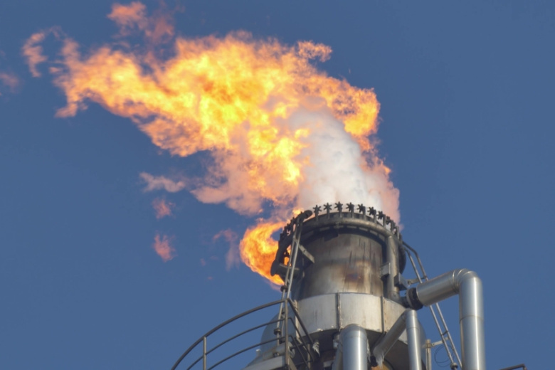    Shutterstock/FOTODOM