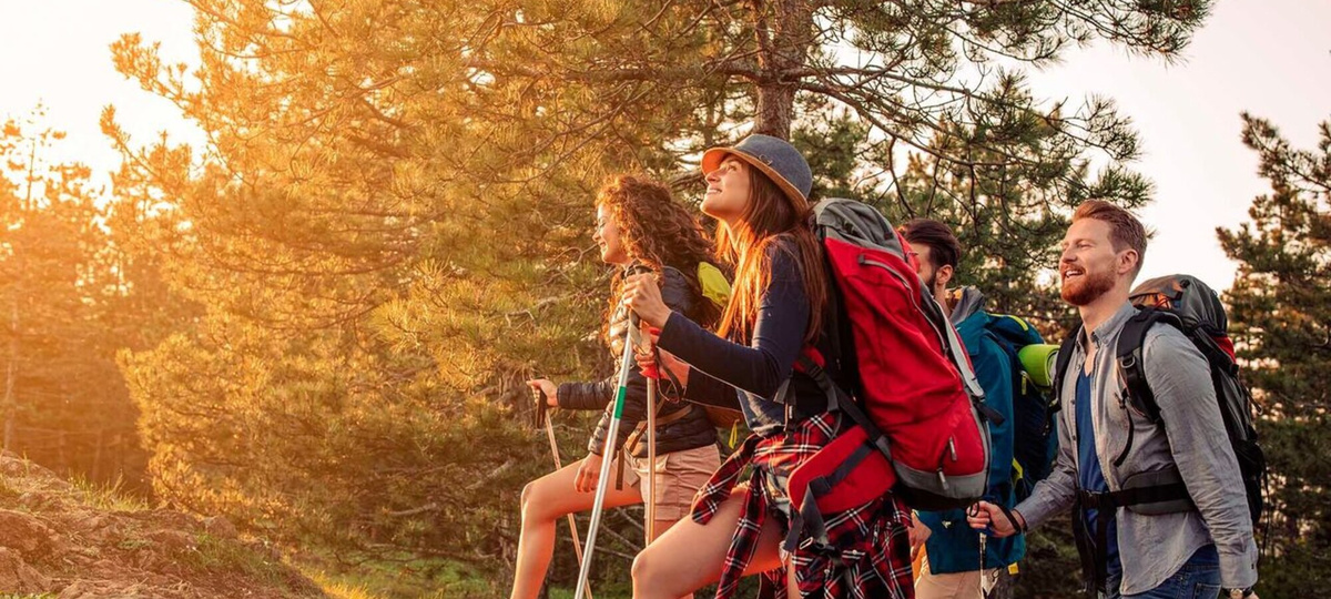 Туристская дисциплина: как порядок делает путешествие лёгким