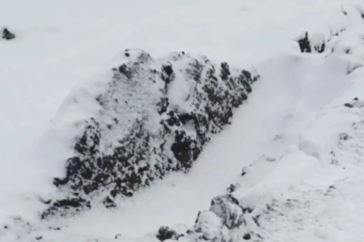    Жители томских сел жалуются на непроходимые дороги после снегопада