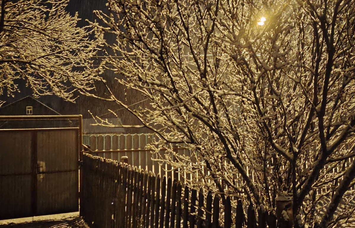 фото автора, 15.11.2025