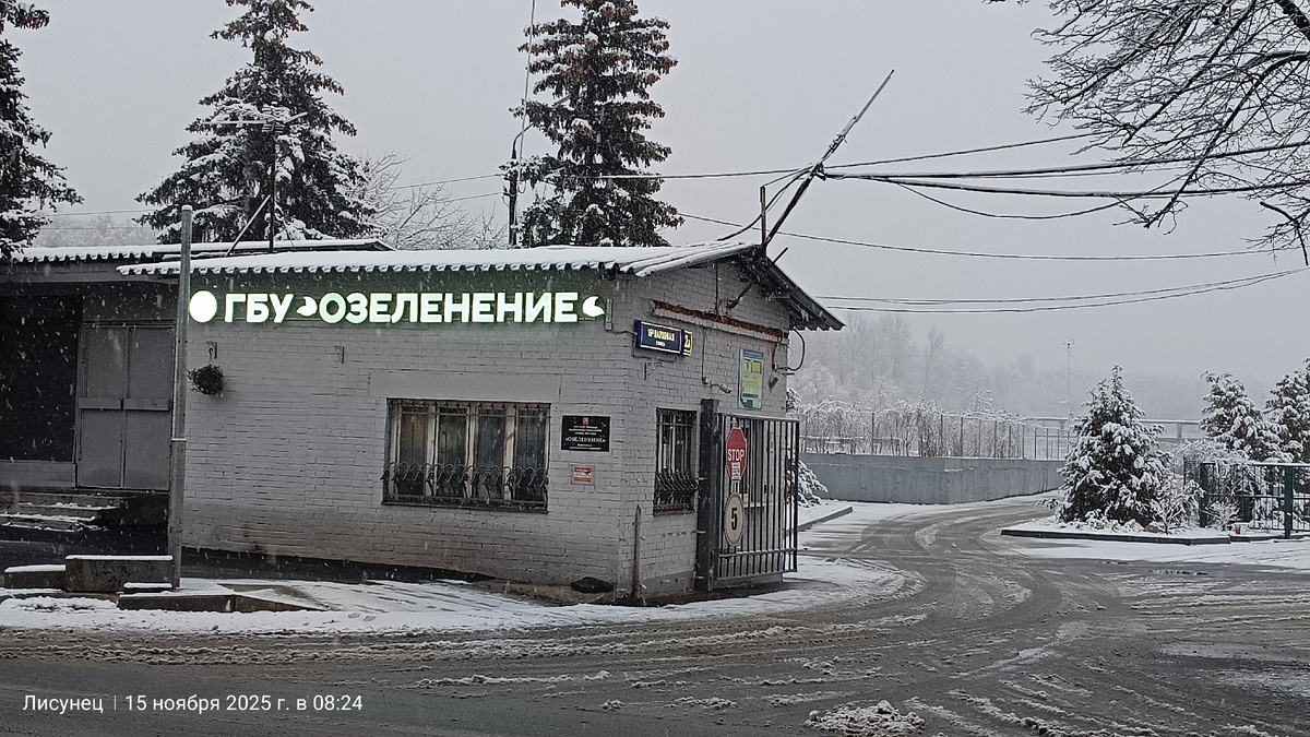 Фото автора. Не реклама.