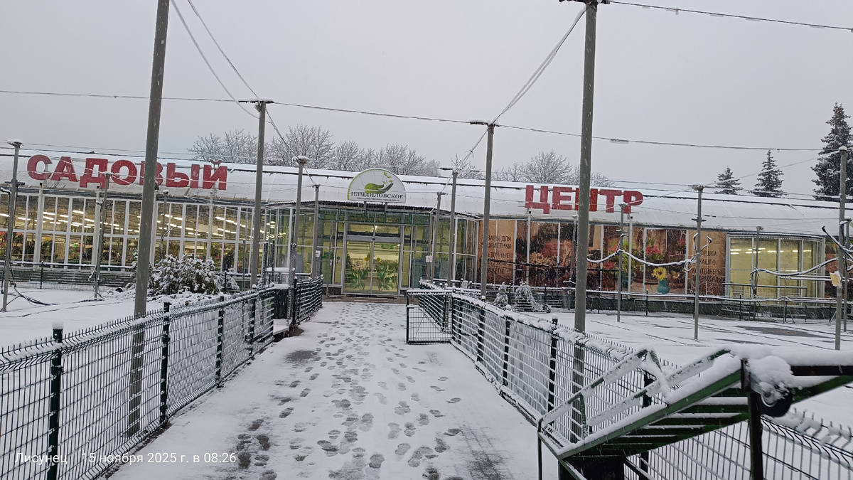 Весной по раннюю осень продают кустарники, садовые деревья, рассаду, цветы.