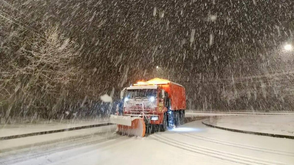    Фото: t.me/razumishkin