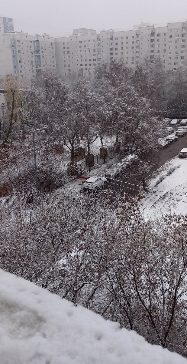 Вид из окна