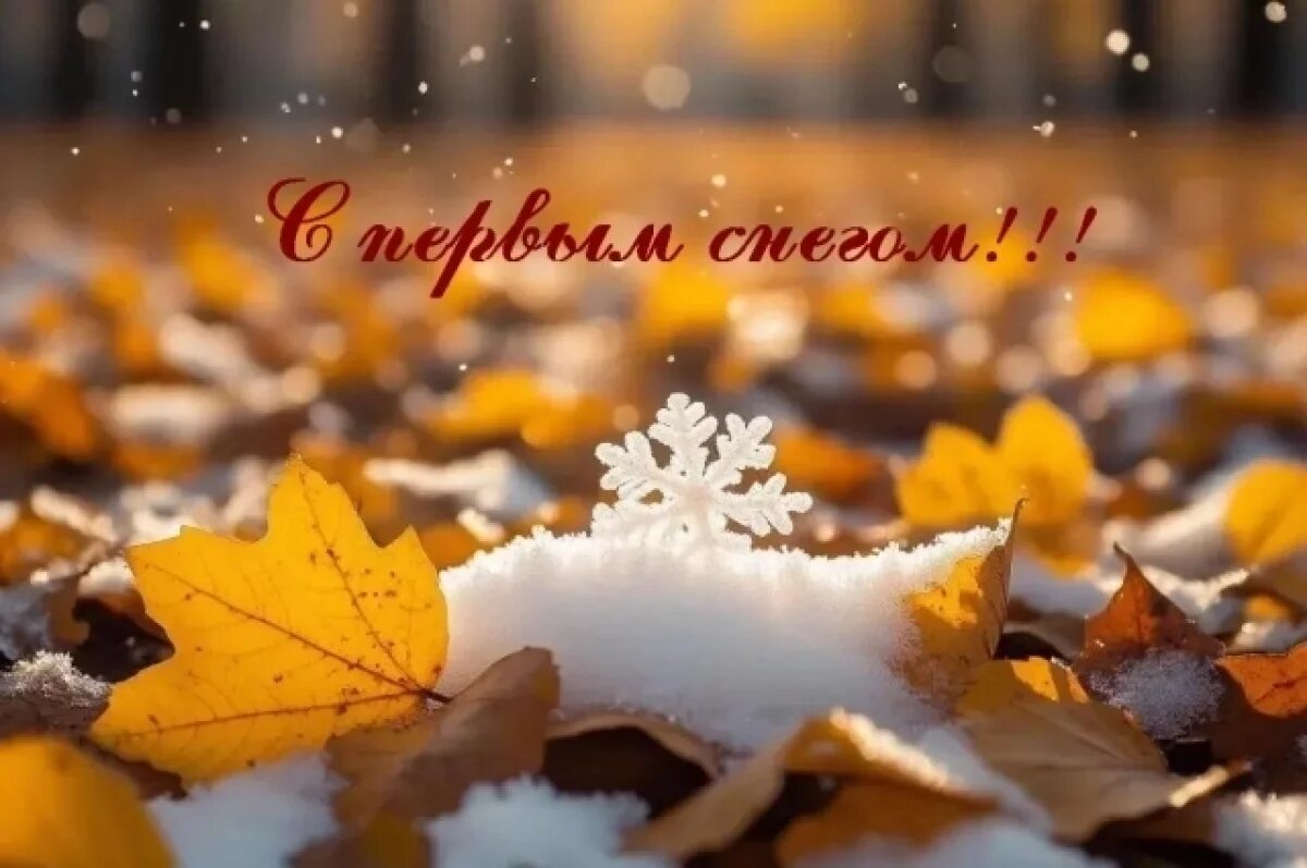    16+ открыток с первым снегом.
