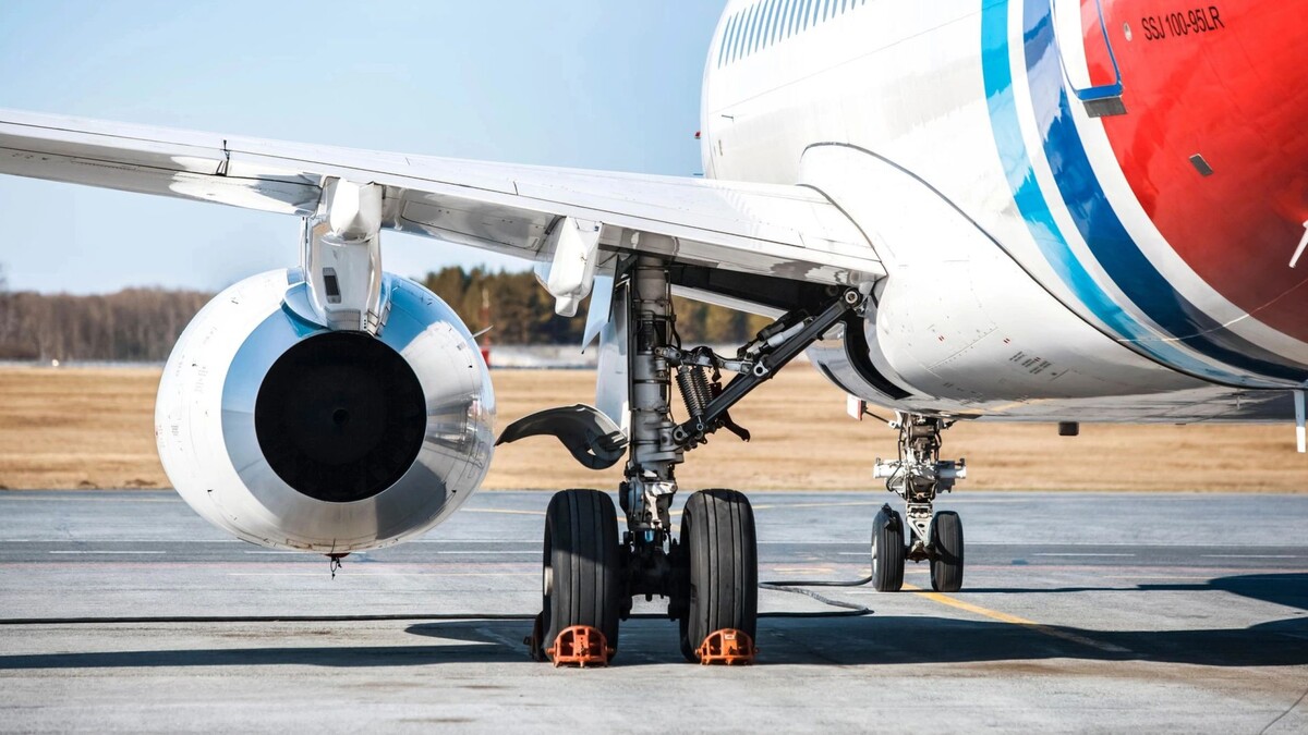    Фото: Andrey Sedoy/Shutterstock/Fotodom