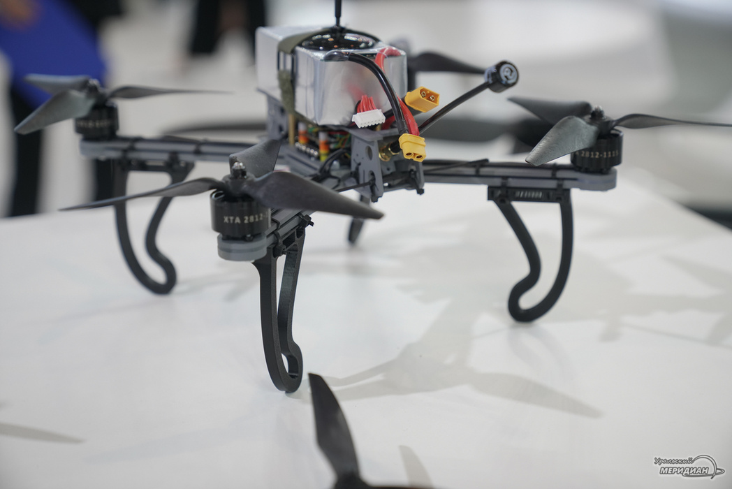    Фото: Лидия Аникина © ИА «Уральский меридиан»