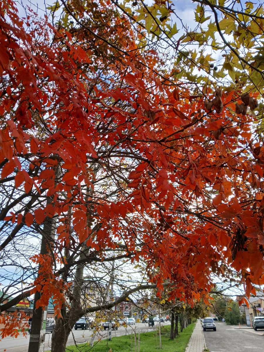 Ул Советская, Супсех