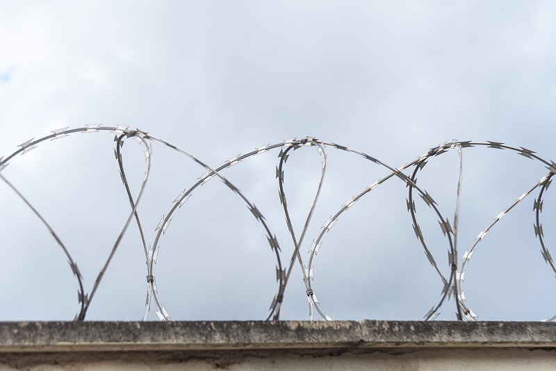    Фото: Mateus Andre/Freepik