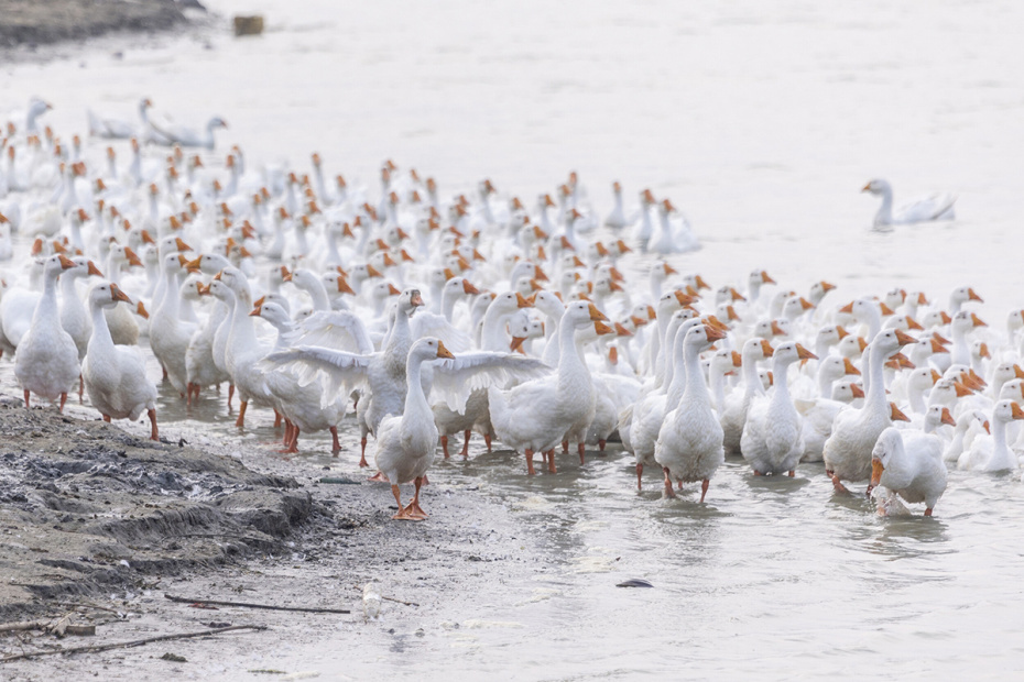    Cfoto/Keystone Press Agency/Global Look Press