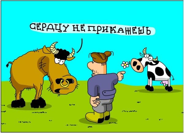 Изображение взято из Интернета. 