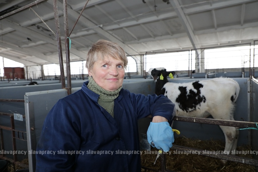     Животноводческая отрасль стала гордостью: каких успехов достигли в ОАО "Семежево"?
