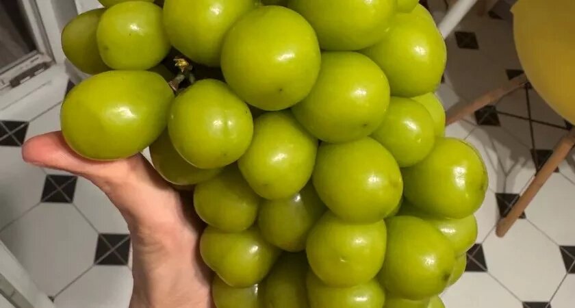    В магазинах продают огромный "пластиковый" виноград из Китая - можно ли его вообще есть