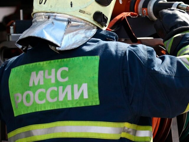    Фото: портал мэра и правительства Москвы