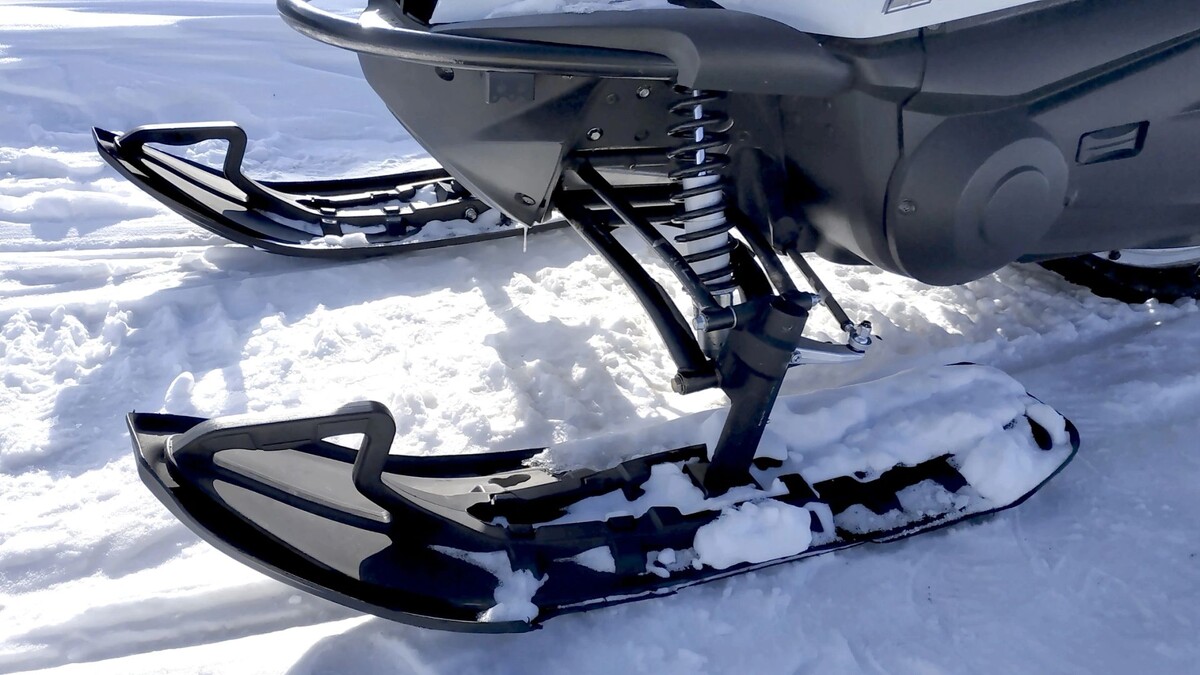    Фото: Roman Chekhovskoi/Shutterstock/Fotodom