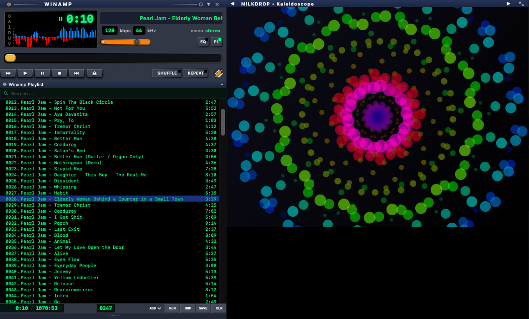 Источник: https://github.com/mgreenwood1001/winamp