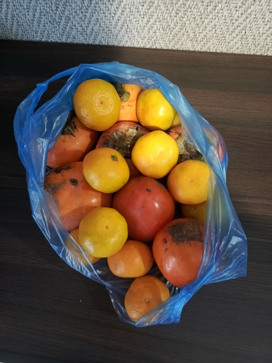 Вот такие фрукты мы купили.