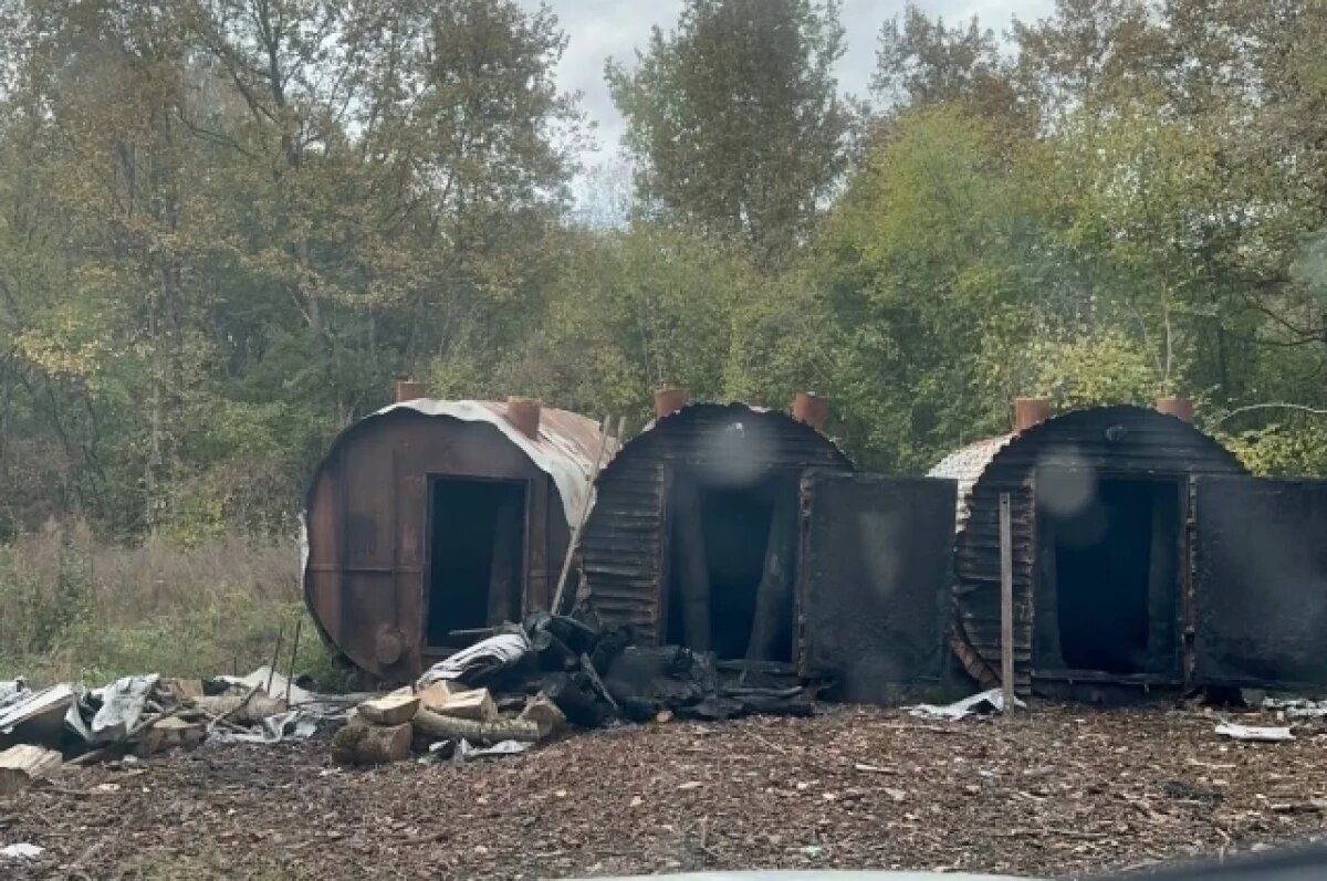    Угольный спрут.